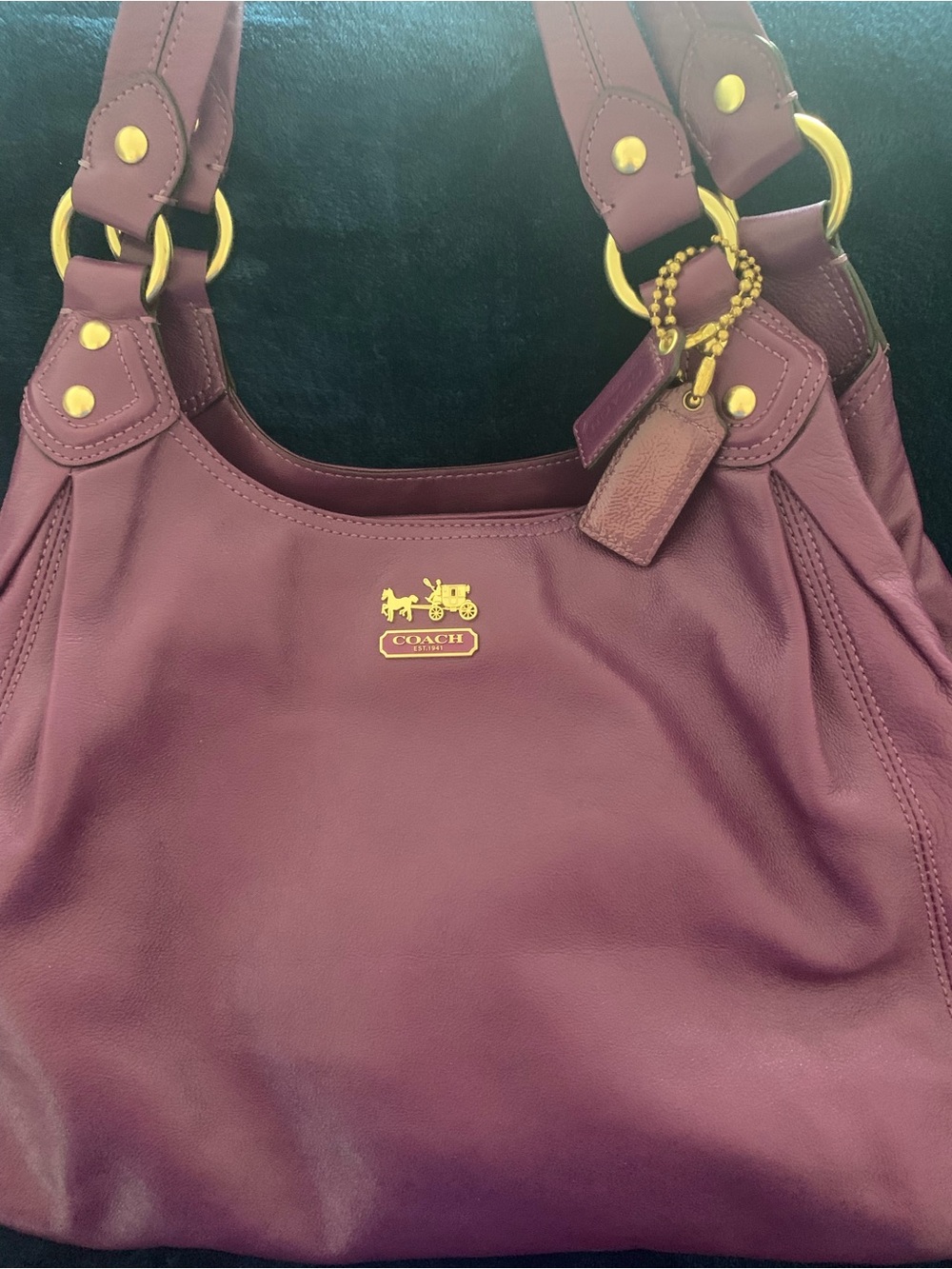 Authentic Vintage Coach Y2K 2009 Madison Maggie Shoulder Bag
